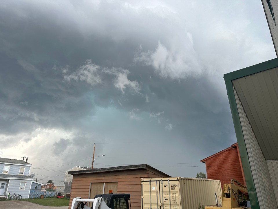 Looking up into the clouds. Photo: David Myre
