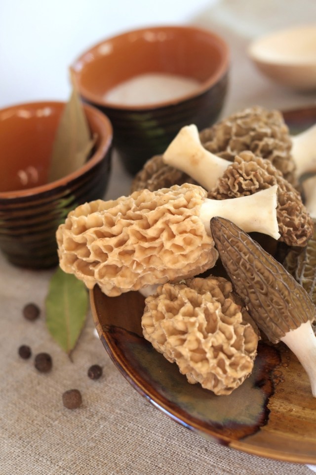 Morel mushrooms on a plate. Taiftin/Dreamstime