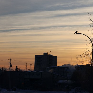 A raven on a street lamp at sunrise on 43 St in Yellowknife. Claire McFarlane/Cabin Radio