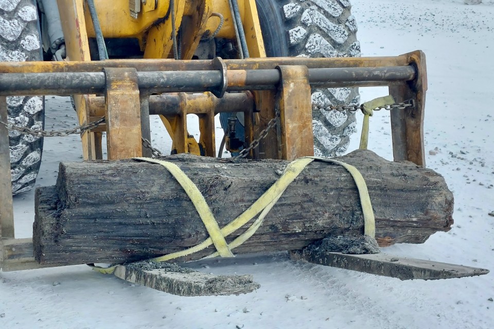 A piece of tree said by the Diavik diamond mine to be "approximately 50 million years old," excavated in February 2025. Photo: Rio Tinto