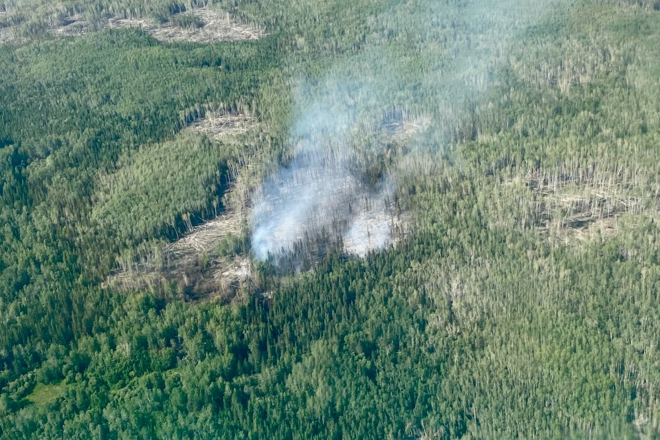 Downed trees in the area of an overwintering fire. Photo: GNWT