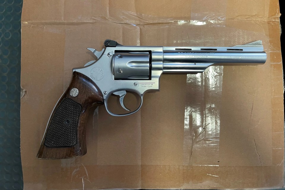 A handgun that RCMP say was seized during a search of a vehicle on the Mackenzie Valley winter road.