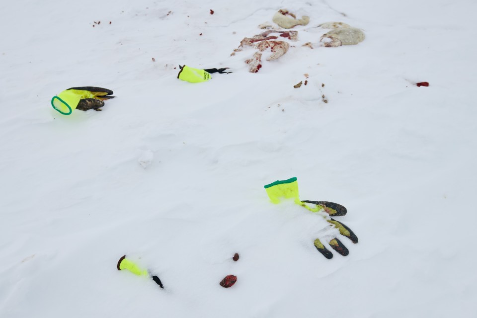 Discarded gloves near the winter road. Photo: Stephen Fochuk