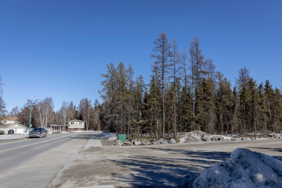 Vacant lots, right, on Gitzel Street. Ollie Williams/Cabin Radio