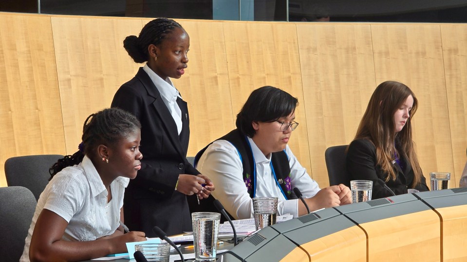 Range Lake youth MLA Tendesai Mufandaedza stands to deliver a statement. Photo: Robert Hawkins