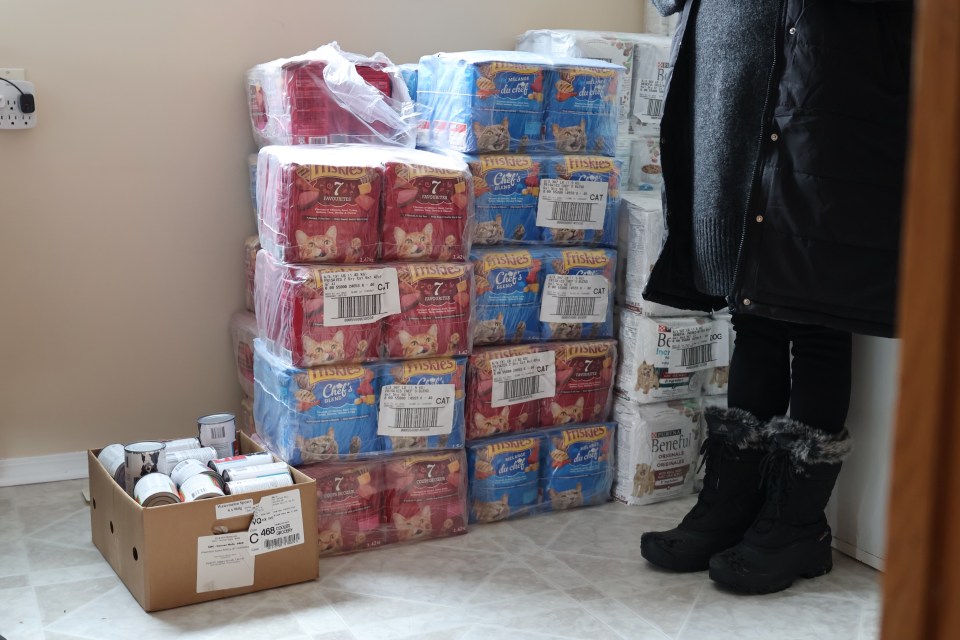 Dog and cat food in a corner of the food pantry. Aastha Sethi/Cabin Radio