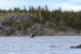 Frame Lake fish reintroduction will be delayed, Diavik says