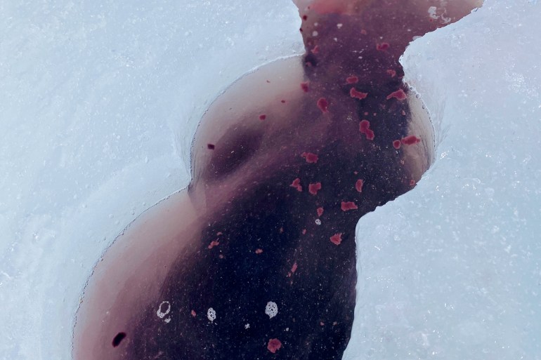 Algae bloom happening under the ice in April 2024 during sampling. Photo submitted by Daniela Klicper