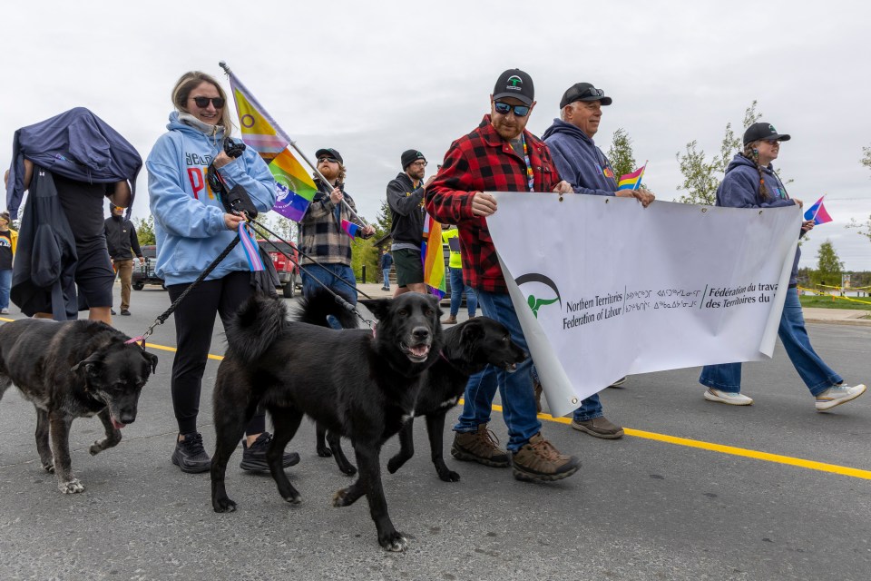 The dogs of the Northern Territories Federation of Labour join the parade. Ollie Williams/Cabin Radio