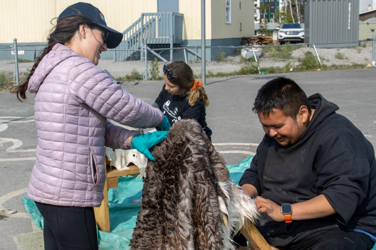 A hide camp at Mildred Hall School in June 2025. Jasmine Nasogaluak/Cabin Radio