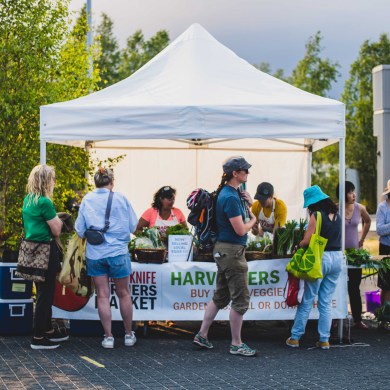 Patrons enjoy the market on a sunny day in 2022. Sarah Pruys/Yellowknife Farmers' Market
