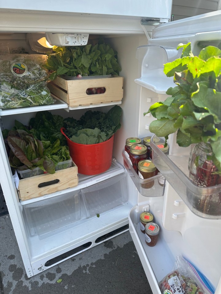 An image of the produce fridge as posted to the Yellowknife Urban Farm Facebook page.