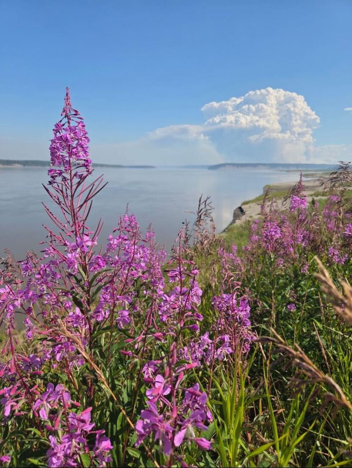 Wildfire FS014 is seen on July 29, 2025. Photo: Dëneze Nakehk'o