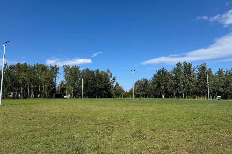 A large grassy area in Hay River's new dog park on Vale Island. Photo: Town of Hay River