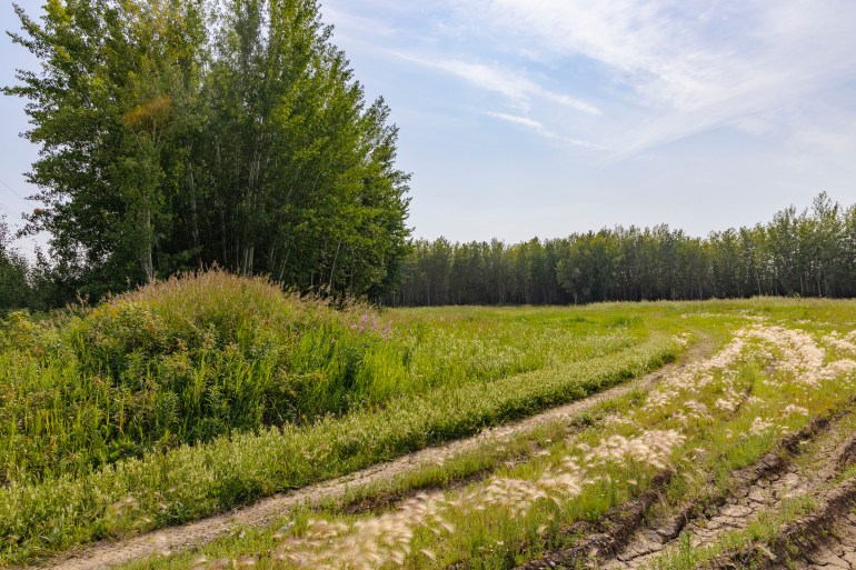 The site earmarked for a new Hay River cemetery. Ollie Williams/Cabin Radio