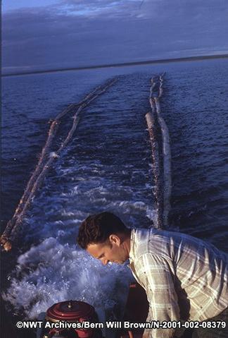 Brown towing logs back to the church site in September 1963. NWT Archives/Bern Will Brown fonds/N-2001-002: 08379