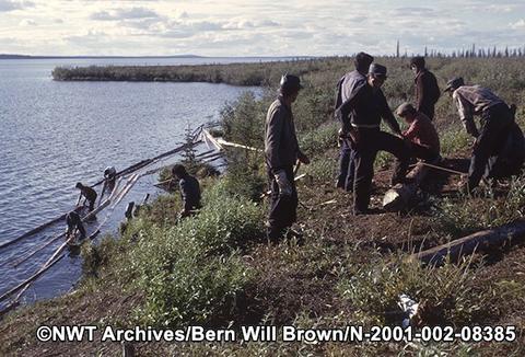 Hauling logs to the shore in September 1963. NWT Archives/Bern Will Brown fonds/N-2001-002: 08385
