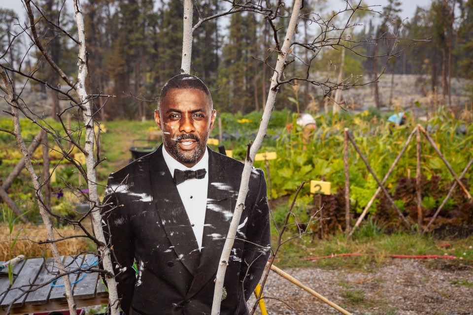 Idris Elba appears in a garden at Laughing Lichen. Ollie Williams/Cabin Radio