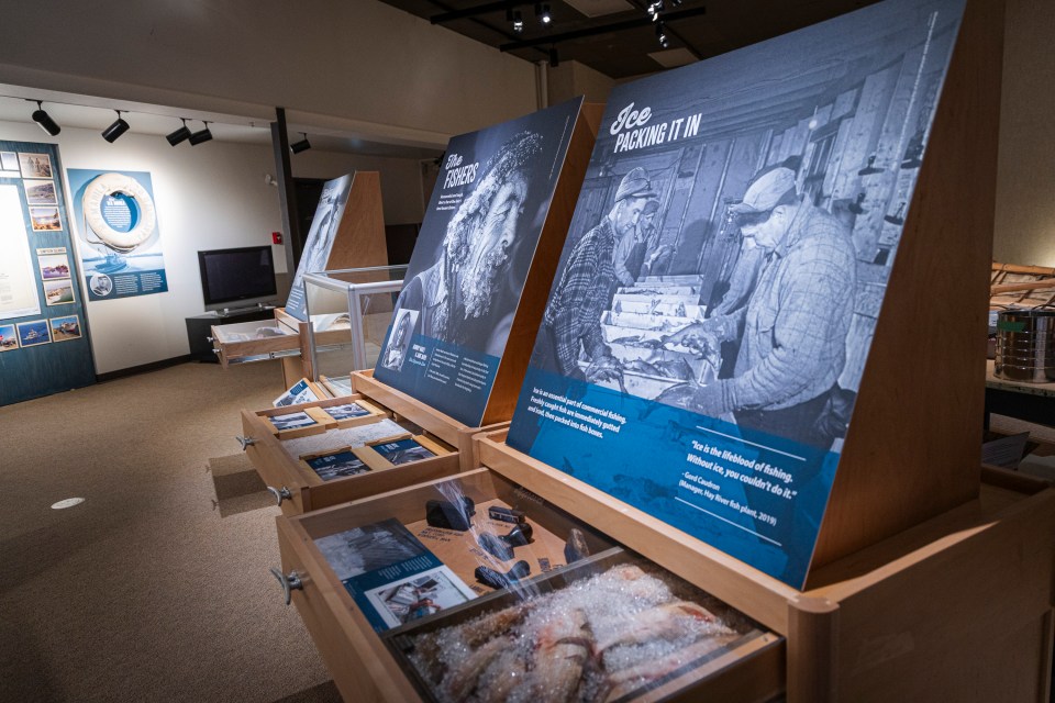 Fish For Sale displays. Ollie Williams/Cabin Radio