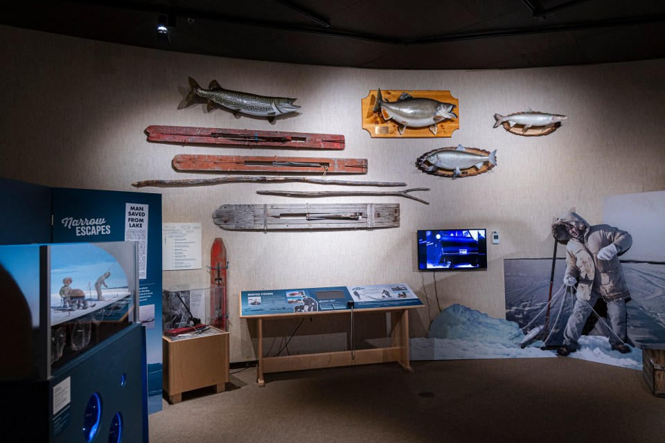 Fish mounted on the wall of the museum. Ollie Williams/Cabin Radio
