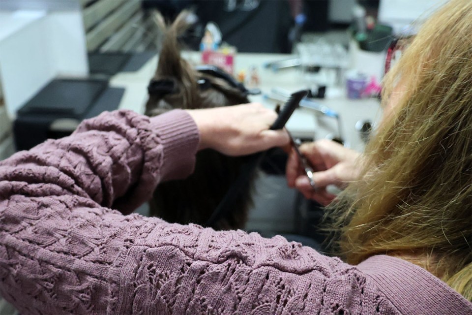 Stylist cuts a client's hair