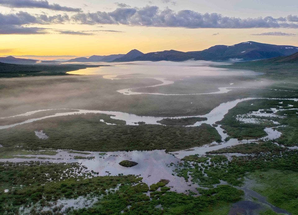 An Arctic landscape affected by beavers. Photo: Ken Tape