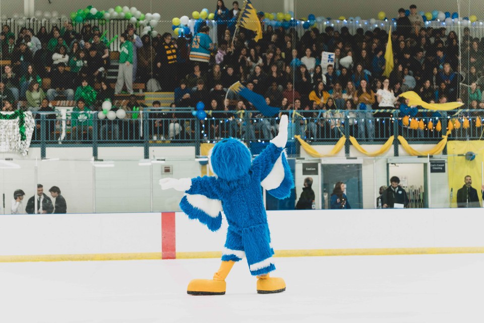 The Sir John's mascot falcon gets the crowd going in between periods. Sarah Pruys/Cabin Radio
