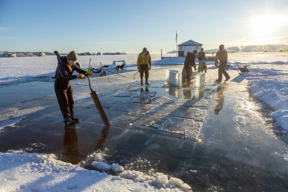 Beneath the snow, the Houseboat Bay ice is clear. FreezeFrame/Snowkings' Winter Festival