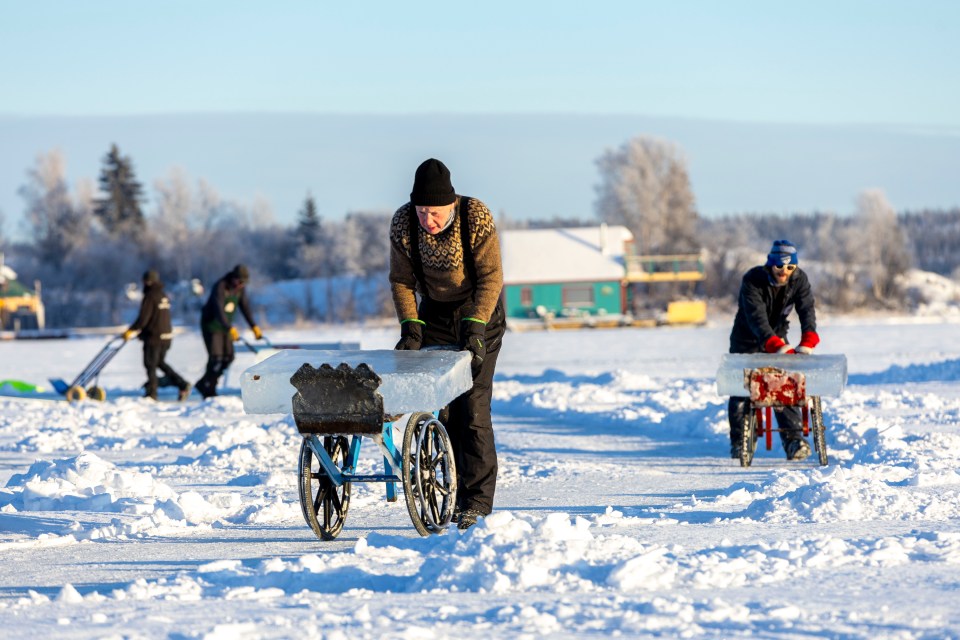 Bernt Skarstad, a volunteer from Norway, wheels a 50-kg ice block. FreezeFrame/Snowkings' Winter Festival