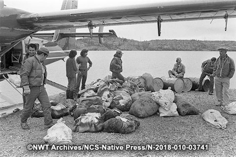 Caribou bundles and supplies by Yellowknife's Back Bay. NWT Archives/Native Communications Society fonds - Native Press photograph collection/N-2018-010: 03741