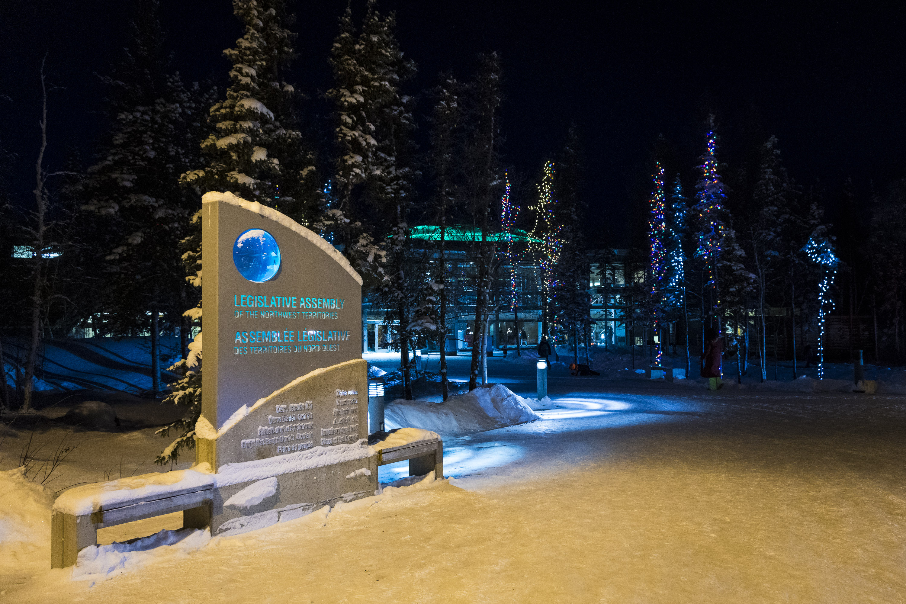 Illuminated trees on the walkway to the NWT legislature. Ollie Williams/Cabin Radio