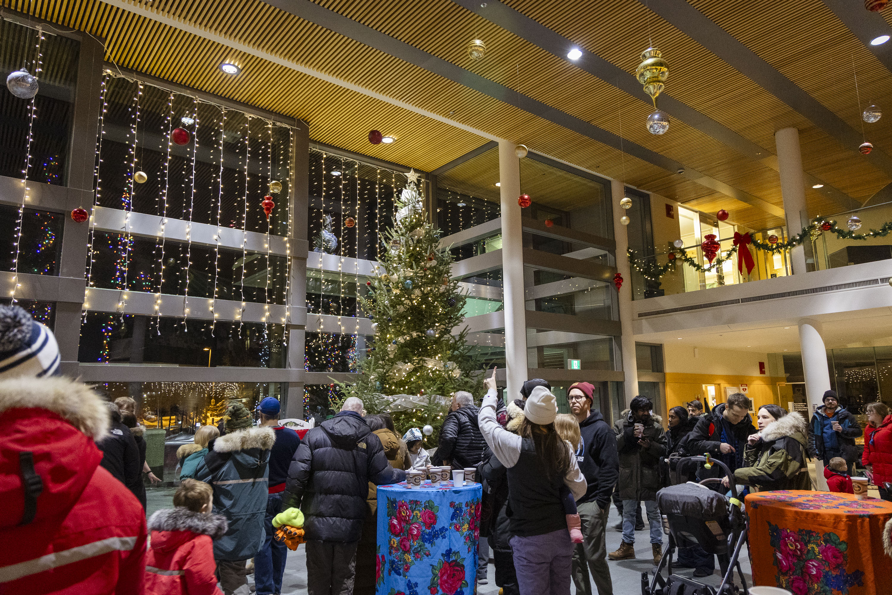 The full spectacle of the legislature's tree. Ollie Williams/Cabin Radio