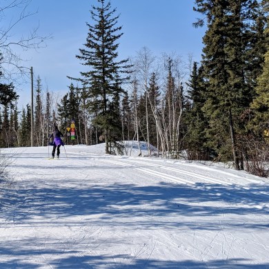 A trail at the Yellowknife Ski Club. Ollie Williams/Cabin Radio