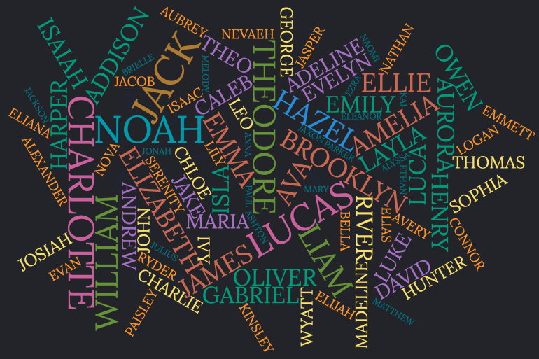 Some of the NWT's top baby names from 2020-25 displayed in a word cloud.