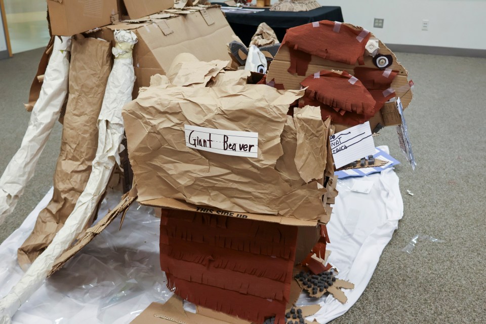 A giant beaver. Aastha Sethi/Cabin Radio