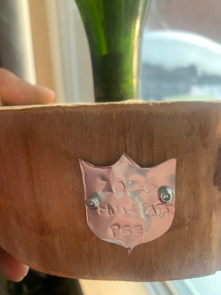 The victory of How Bats Pee is immortalized. Photo submitted by Mike Mitchell