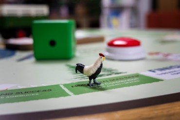 A chicken used as a counter in a boardgame at the Territorial Agrifood Association's discovery centre in Yellowknife. Ollie Williams/Cabin Radio