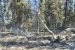 NWT Fire reports new human-caused fire along Highway 3