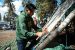Yellowknife hide camp provides space for education and community
