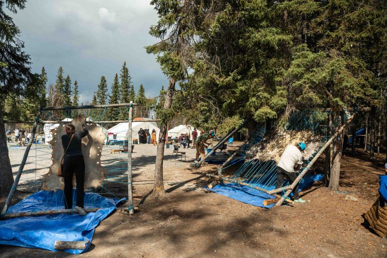 Yellowknives Dene First Nation partnered with Dene Nahjo to host a hide tanning camp at the Wıìlıìdeh site in May 2026. Kai Wilson/Cabin Radio