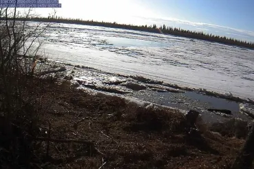 Photo from a hydrometric gauge along the Mackenzie River above Aklavik on May 23 at 9:00am. Photo courtesy of Water Survey of Canada and GNWT