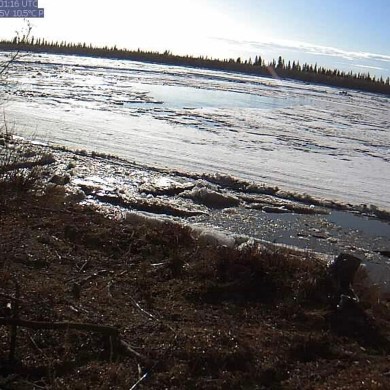 Photo from a hydrometric gauge along the Mackenzie River above Aklavik on May 23 at 9:00am. Photo courtesy of Water Survey of Canada and GNWT