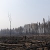 Dehcho Grand Chief Herb Norwegian stands in an area along Highway 1 in Fort Simpson burned by wildfire. Claire McFarlane/Cabin Radio