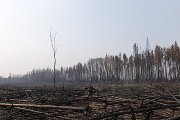 Dehcho Grand Chief Herb Norwegian stands in an area along Highway 1 in Fort Simpson burned by wildfire. Claire McFarlane/Cabin Radio