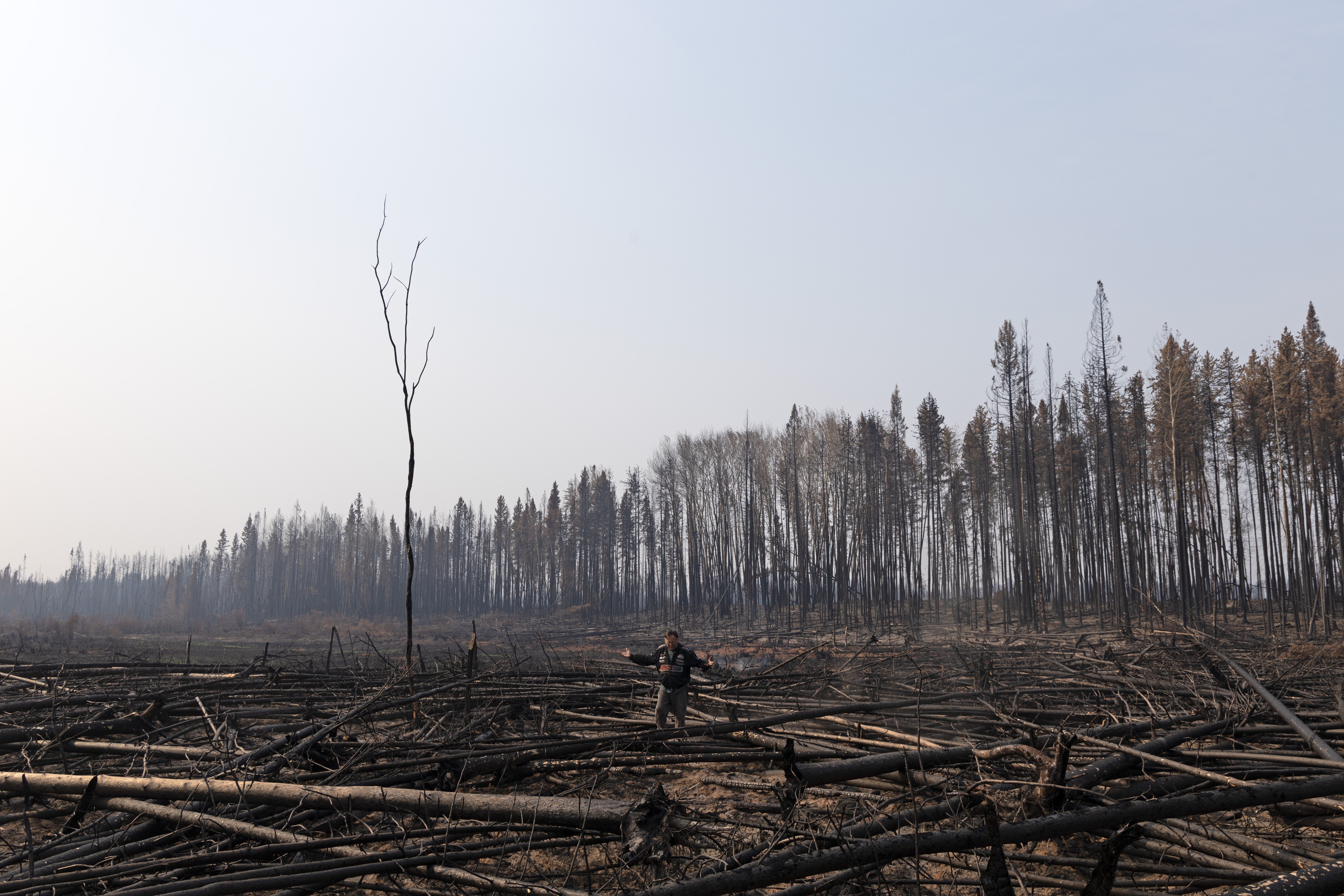 Dehcho Grand Chief Herb Norwegian stands in an area along Highway 1 in Fort Simpson burned by wildfire. Claire McFarlane/Cabin Radio