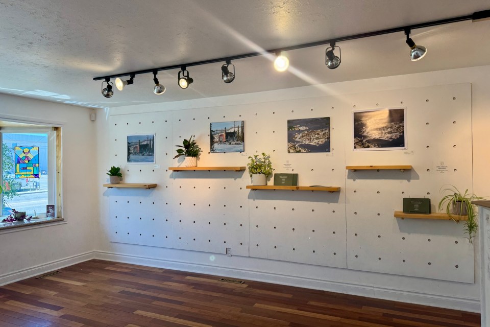 Inner Landscapes at the Gallery on 47th Street. Eshana Gohil/Cabin Radio