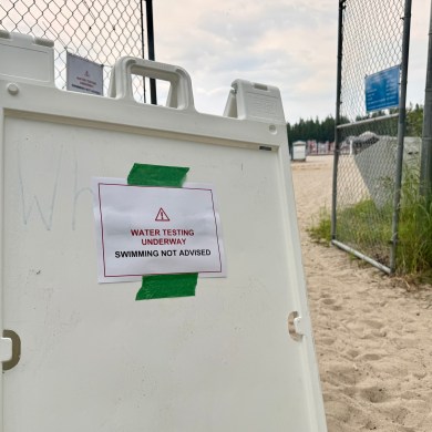 A sign at Fred Henne beach warns of water testing under way on July 2, 2026. Ollie Williams/Cabin Radio