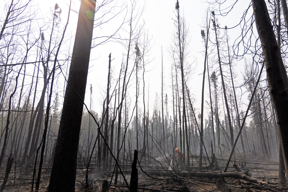 Climate change made NWT’s fire season twice as likely to occur, report finds