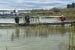 Their docks ripped apart, these Old Town neighbours ask: what happened?