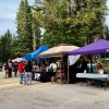 Vendors at the Fireweed Festival after a shelter in place order was lifted on August 22, 2026. Ollie Williams/Cabin Radio